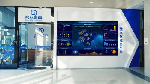 輝南縣考察組赴浙江麗水考察學(xué)習(xí)電子商務(wù)工作