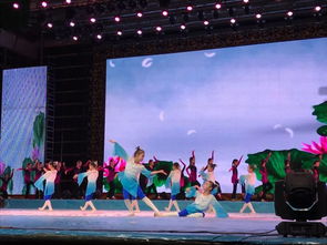 《祖國永遠(yuǎn)是春天》——小江精品藝術(shù)學(xué)校2025年專場春節(jié)文藝演出暨廣播電視節(jié)目制作紀(jì)實