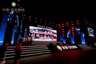 永鋒·百合新城璀璨亮相，龐龍獻(xiàn)唱引爆武城文化新篇章